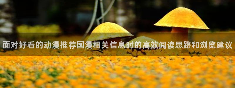 动漫共和国官网