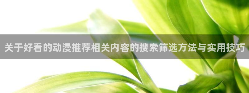 穿越到异世界的动漫:关于好看的动漫推荐相关内容的搜索筛选方法与实用技巧