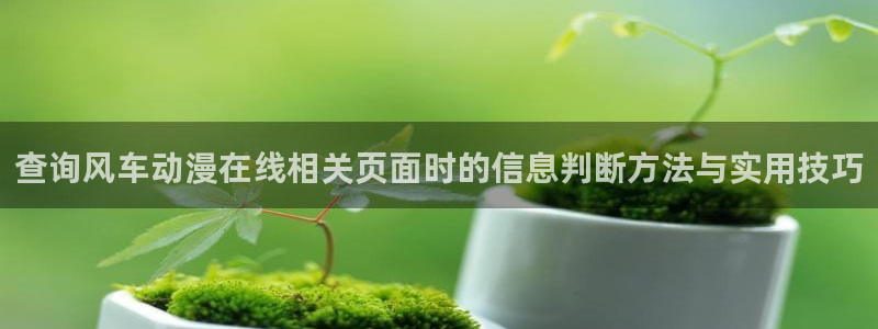 黑田同学动漫:查询风车动漫在线相关页面时的信息判断方法与实用技巧