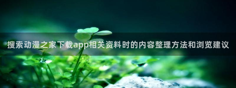 新番动漫推荐