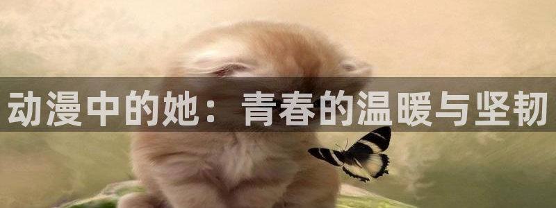 新番动漫推荐