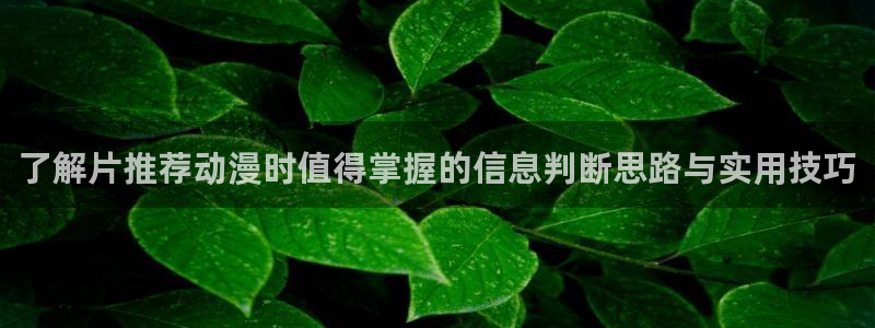 免费51动漫